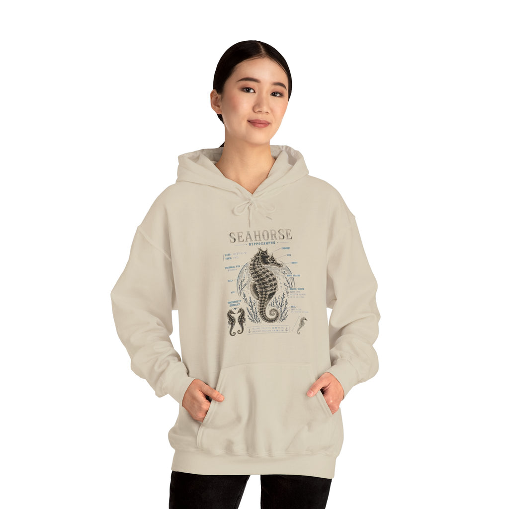 Seahorse Anatomy Hoodie — Vintage Marine Illustration Sweatshirt