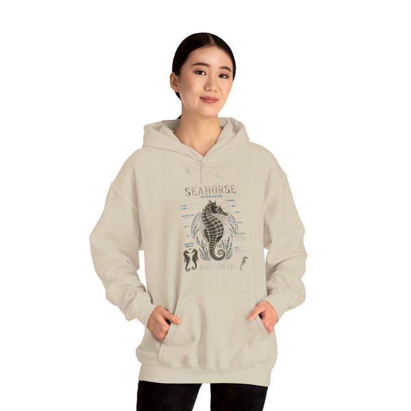 Seahorse Anatomy Hoodie — Vintage Marine Illustration Sweatshirt