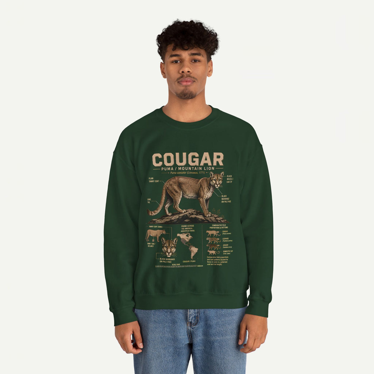 Cougar Anatomy Sweatshirt – Puma / Mountain Lion Educational Crewneck