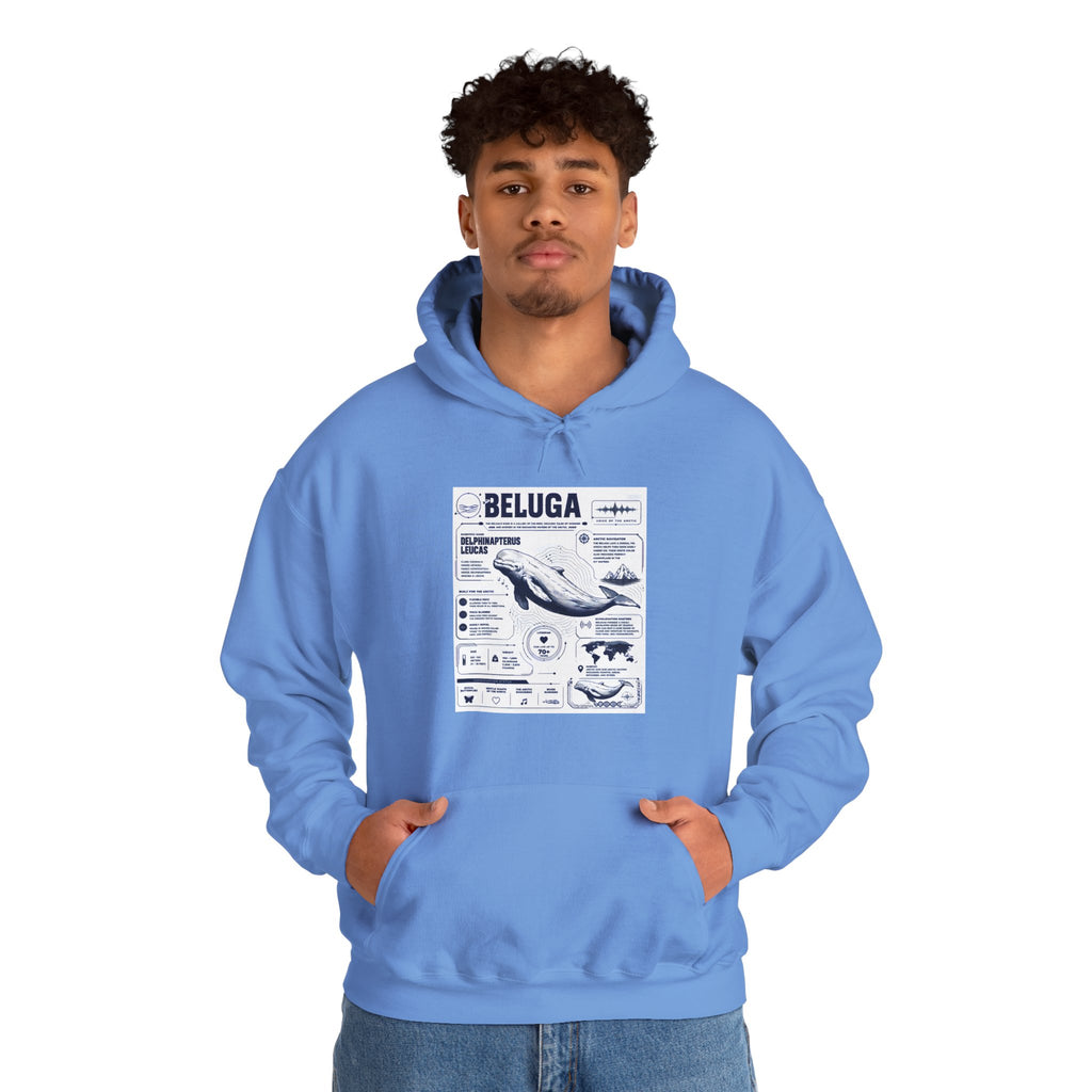 Beluga Whale Graphic Hoodie - Marine Life Diagram Sweatshirt