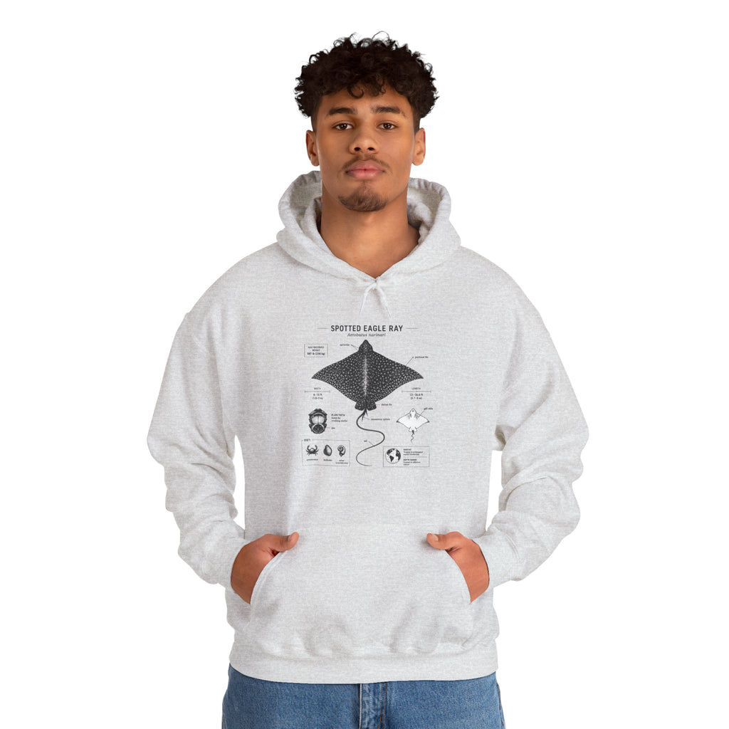Manta Ray Anatomy Hoodie – Spotted Eagle Ray Diagram Sweatshirt
