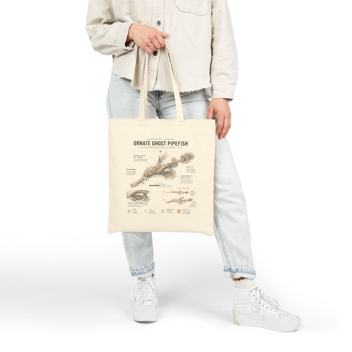 Ornate Ghost Pipefish Anatomy Tote Bag — Vintage Scientific Illustration Cotton Canvas