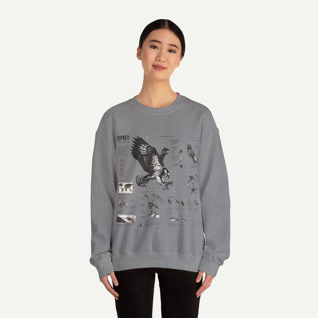 Osprey Anatomy Sweatshirt — Illustrated Bird Guide Pullover