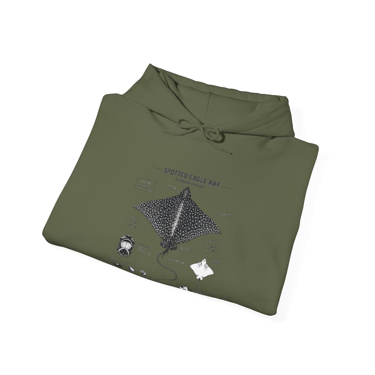 Manta Ray Anatomy Hoodie – Spotted Eagle Ray Diagram Sweatshirt