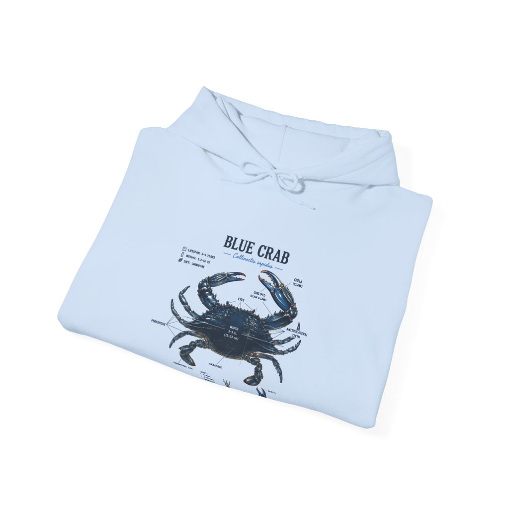 Blue Crab Anatomy Hoodie — Nautical Marine Biology Graphic Sweatshirt