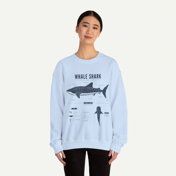 Whale Shark Anatomy Sweatshirt — Marine Life Illustration Crewneck