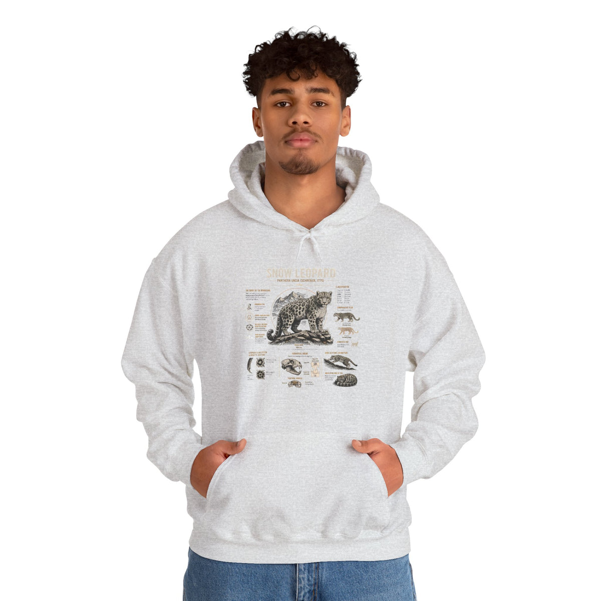 Bear Anatomy Hoodie — Vintage Wildlife Illustration Sweatshirt