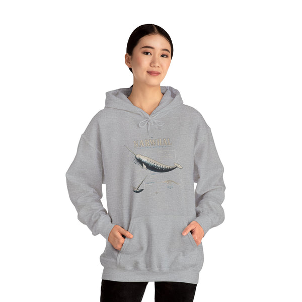Narwhal Hoodie — Vintage Tailplane Illustration, Aviation Crew Sweatshirt