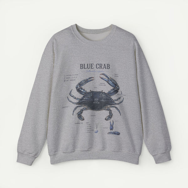 Blue Crab Sweatshirt — Vintage Nautical Marine Illustration