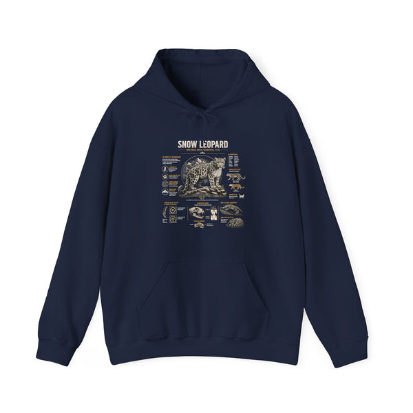 Bear Anatomy Hoodie — Vintage Wildlife Illustration Sweatshirt