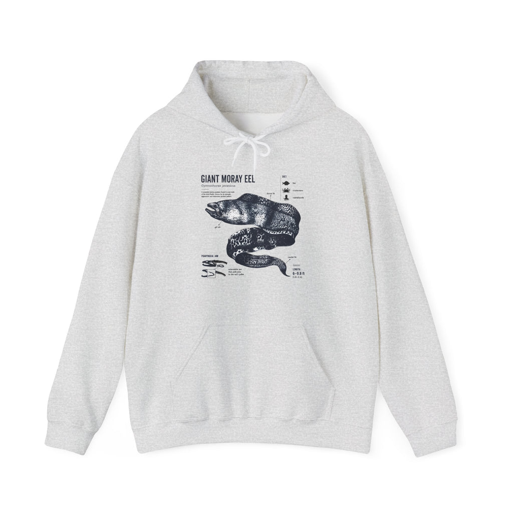 Sea Snake Diagram Hoodie - Vintage Scientific Illustration Sweatshirt