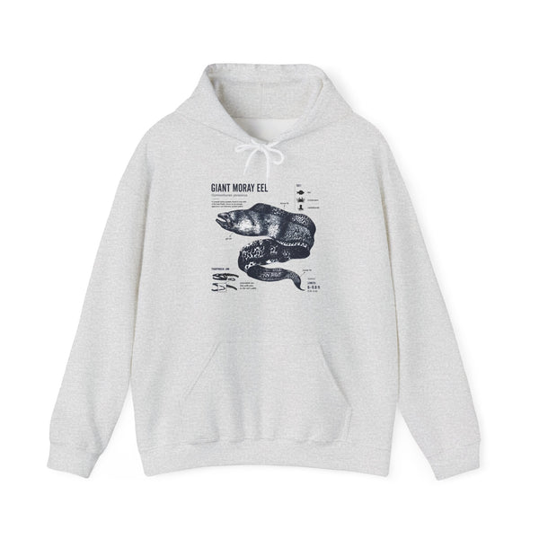 Sea Snake Diagram Hoodie - Vintage Scientific Illustration Sweatshirt