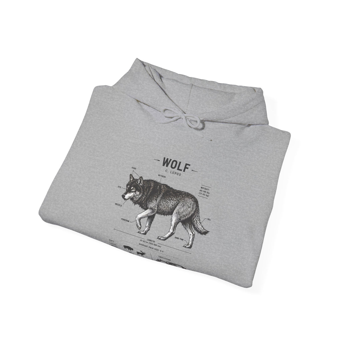 Wolf Anatomy Hoodie – Vintage Wildlife Diagram Sweatshirt