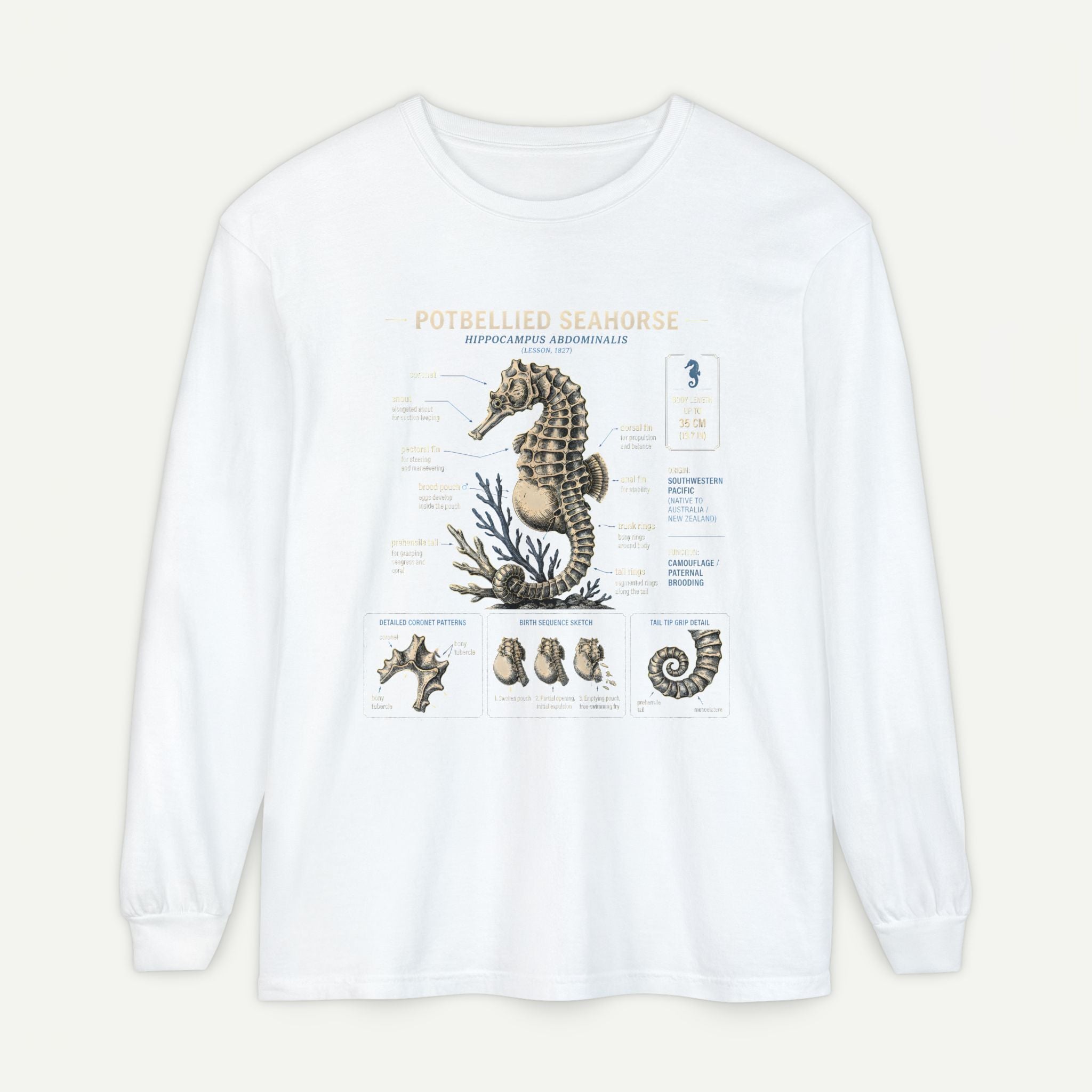 Seahorse Anatomy Long Sleeve Tee Secondary image