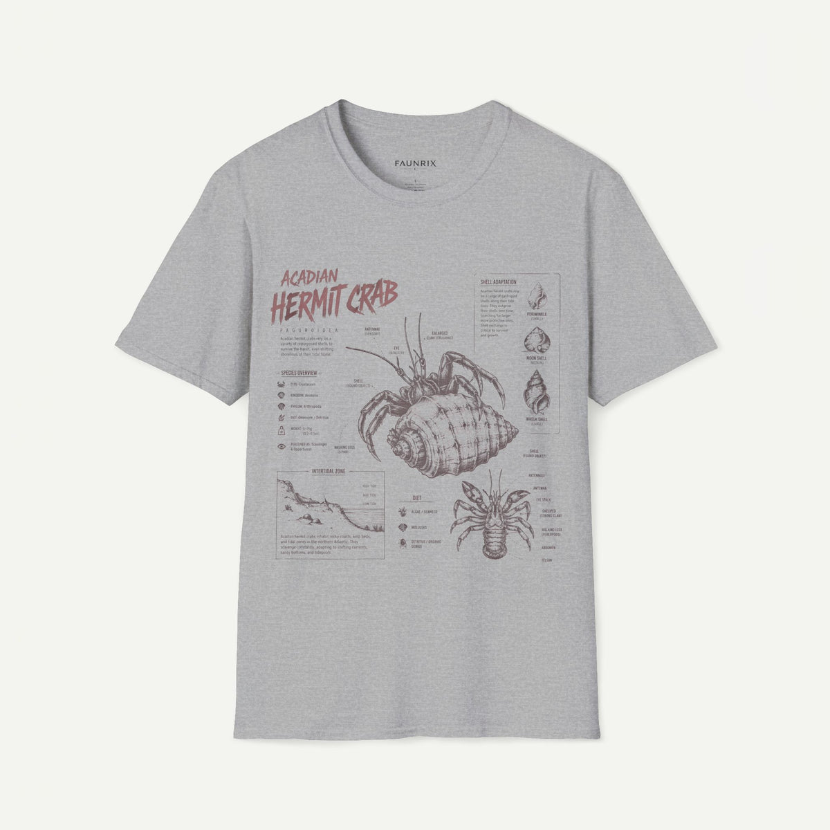 Hermit Crab Anatomy T-Shirt — Acadian Marine Illustration Tee