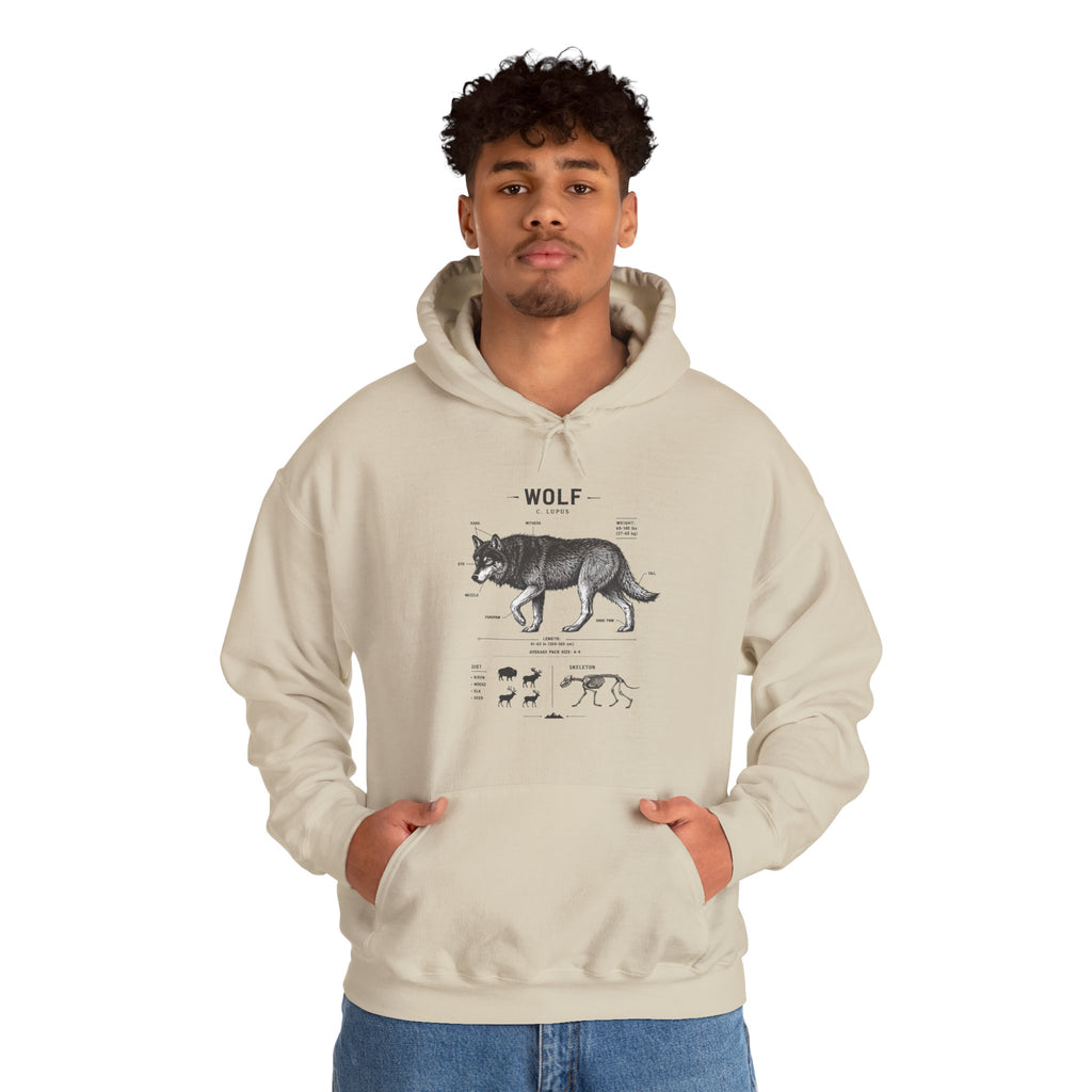 Wolf Anatomy Hoodie – Vintage Wildlife Diagram Sweatshirt