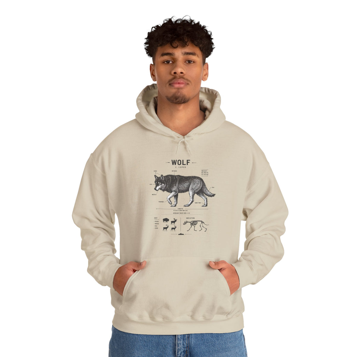 Wolf Anatomy Hoodie – Vintage Wildlife Diagram Sweatshirt