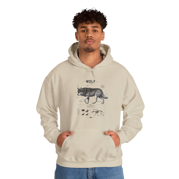 Wolf Anatomy Hoodie – Vintage Wildlife Diagram Sweatshirt