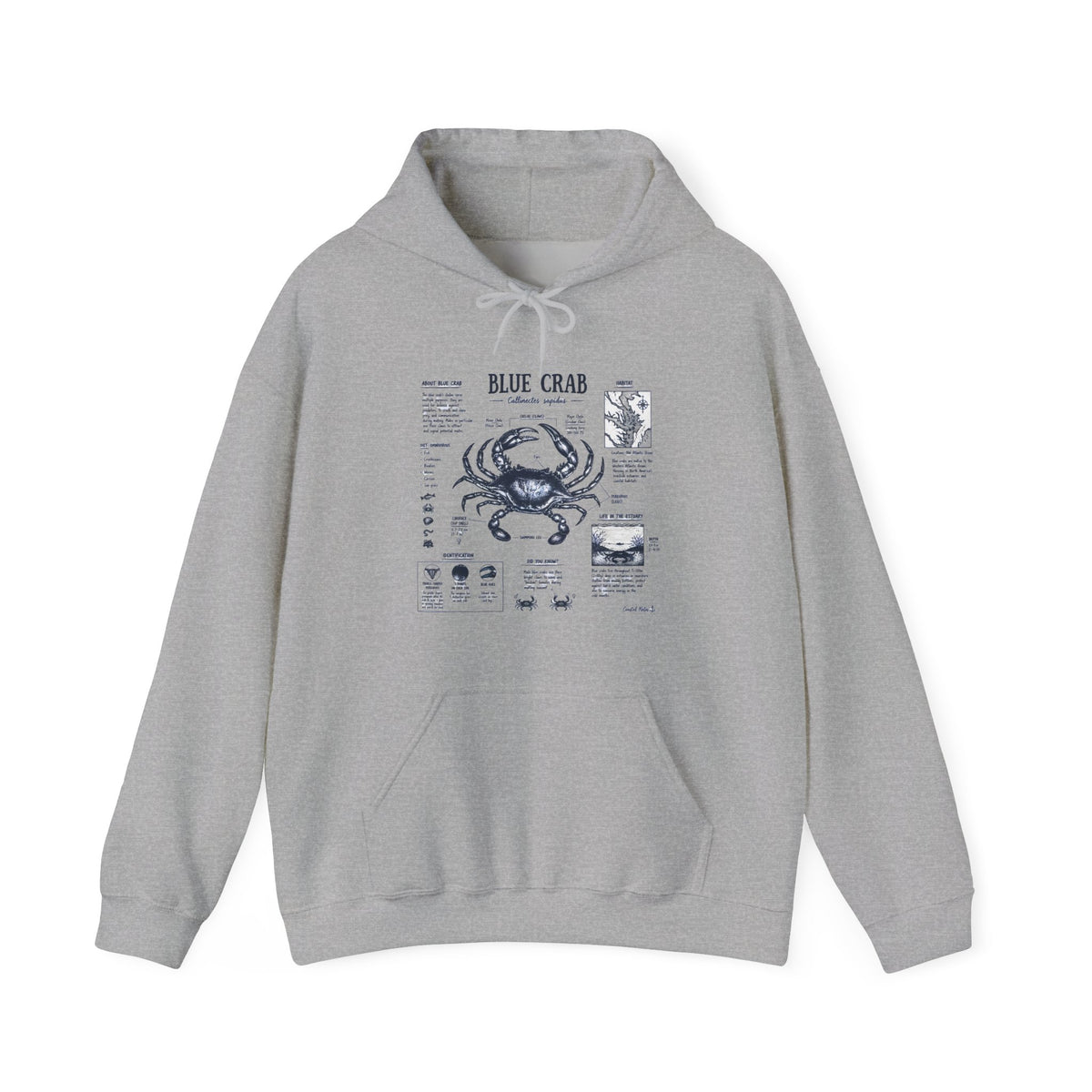 Blue Crab Anatomy Hoodie — Nautical Seafood Diagram Sweatshirt
