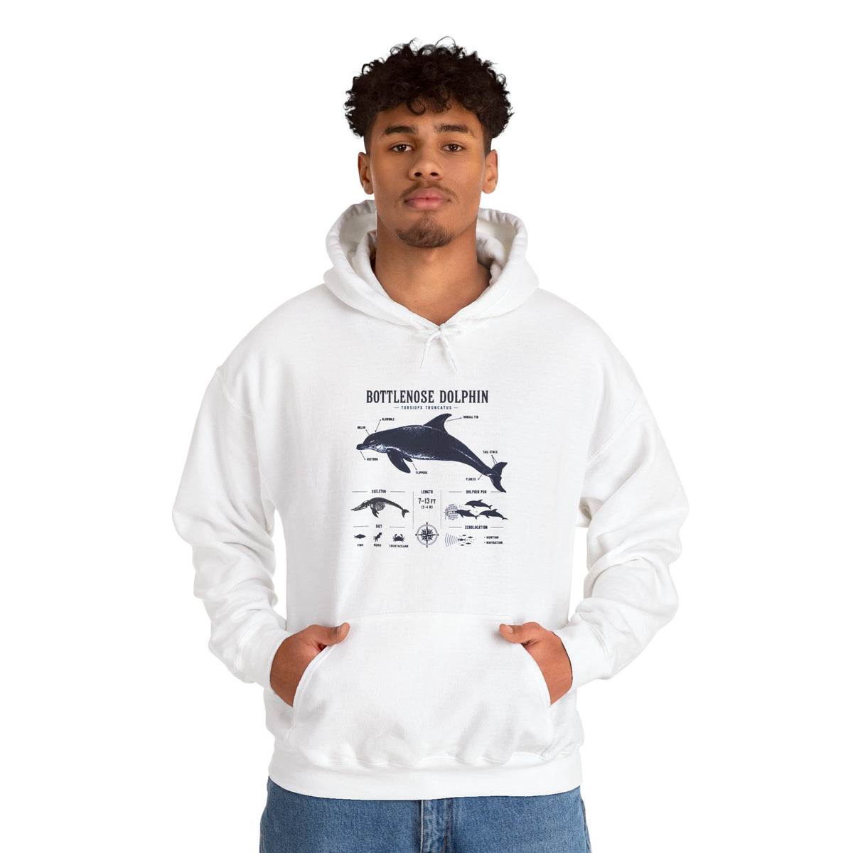Bottlenose Dolphin Diagram Hoodie – Marine Life Anatomy Sweatshirt
