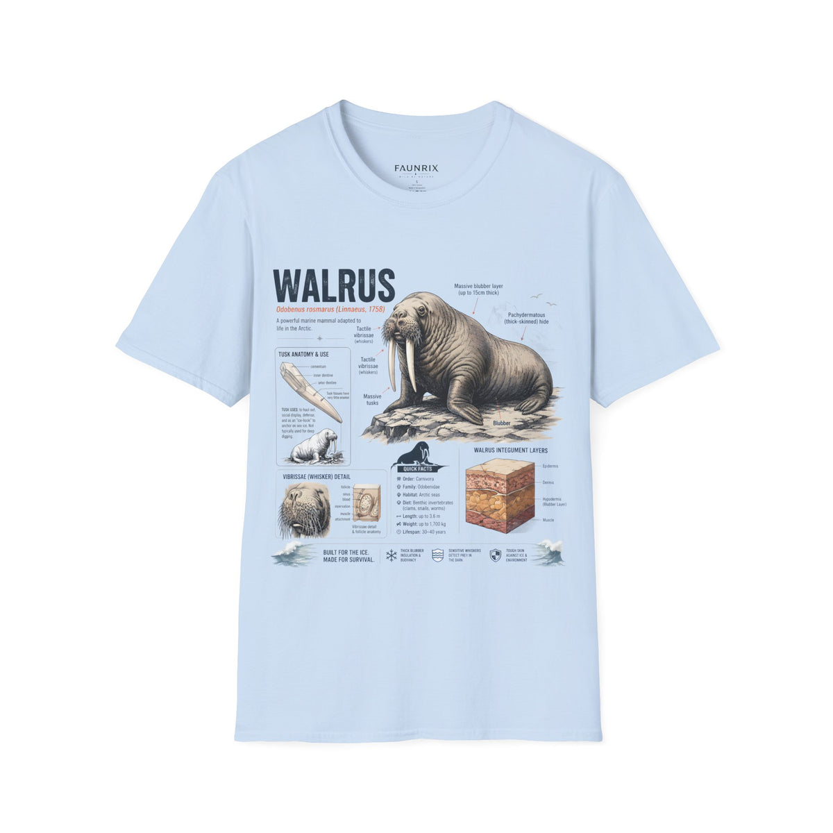 Walrus Anatomy T-Shirt — Illustrated Marine Mammal Facts Tee Main image