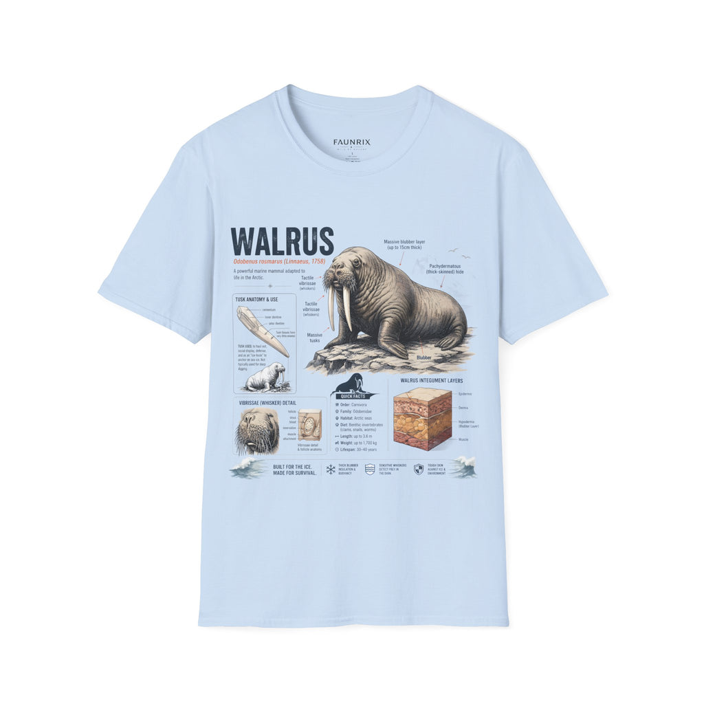 Walrus Anatomy T-Shirt — Illustrated Marine Mammal Facts Tee