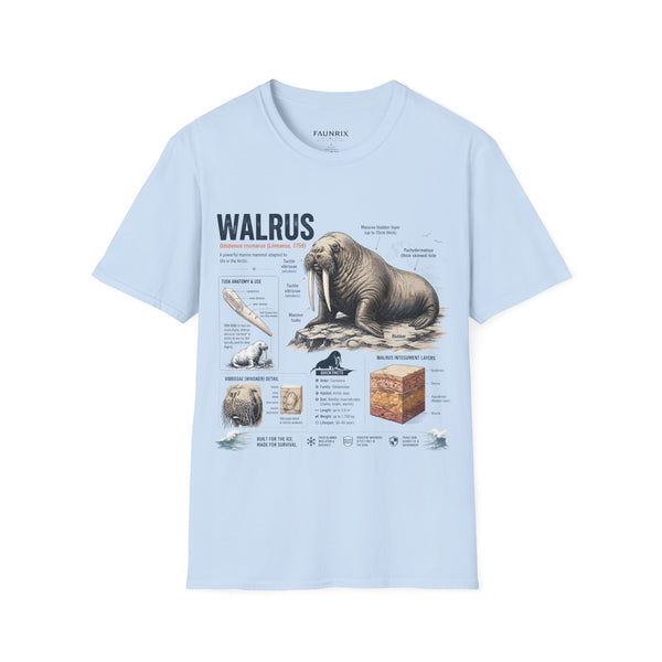 Walrus Anatomy T-Shirt — Illustrated Marine Mammal Facts Tee