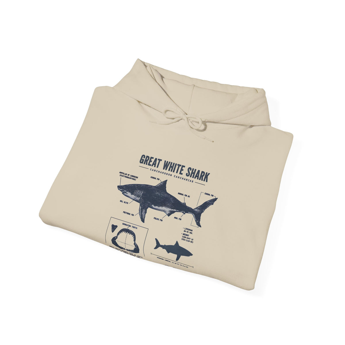 Shark Diagram Hoodie — Great White Shark Anatomy Graphic Sweatshirt