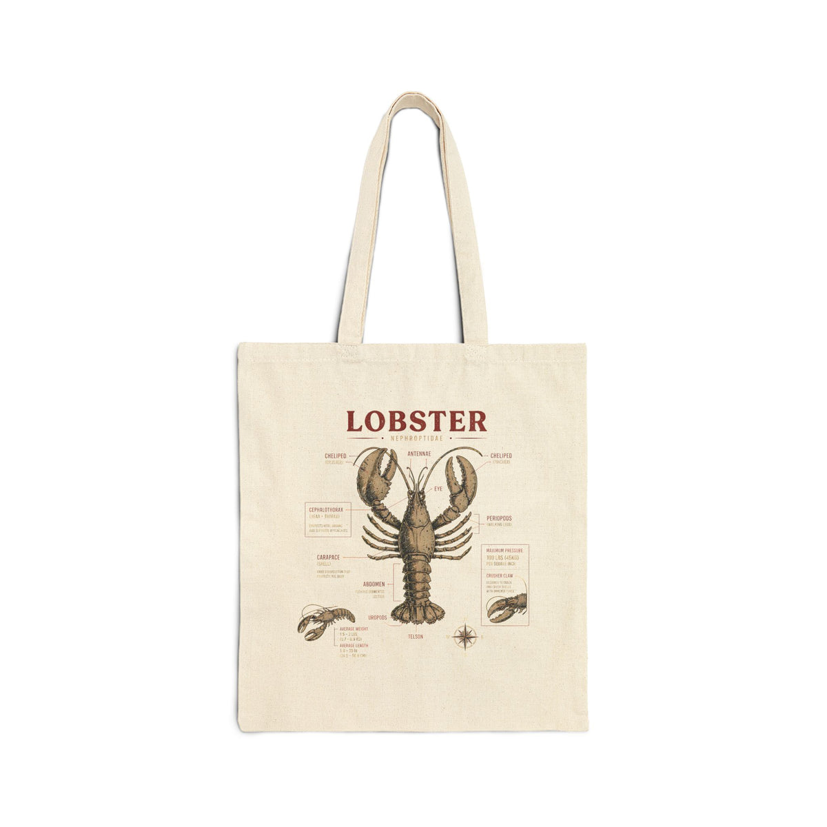 Lobster Anatomy Canvas Tote Bag — Vintage Seafood Illustration Grocery Market Tote
