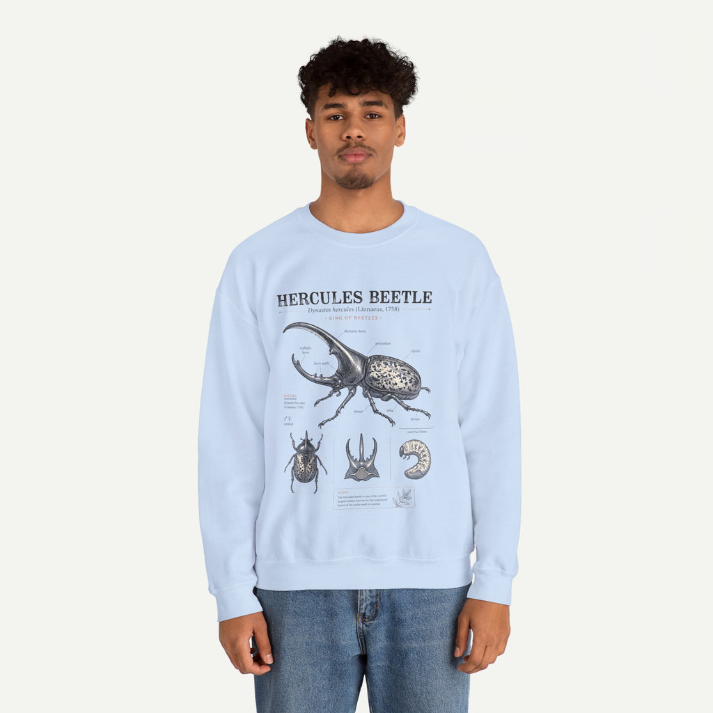 Hercules Beetle Anatomy  Crewneck Sweatshirt – Vintage Entomology Graphic