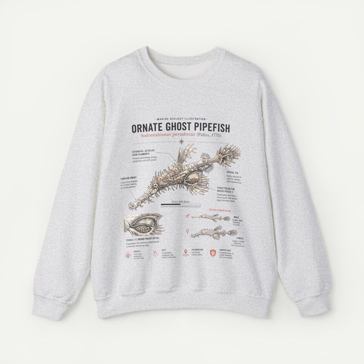 Ornate Ghost Pipefish Anatomy Sweatshirt