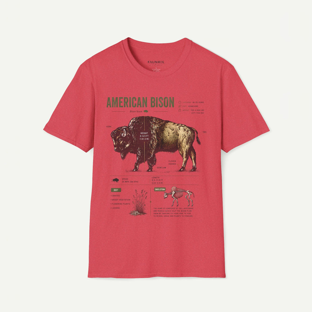 Vintage American Bison Anatomy T-Shirt
