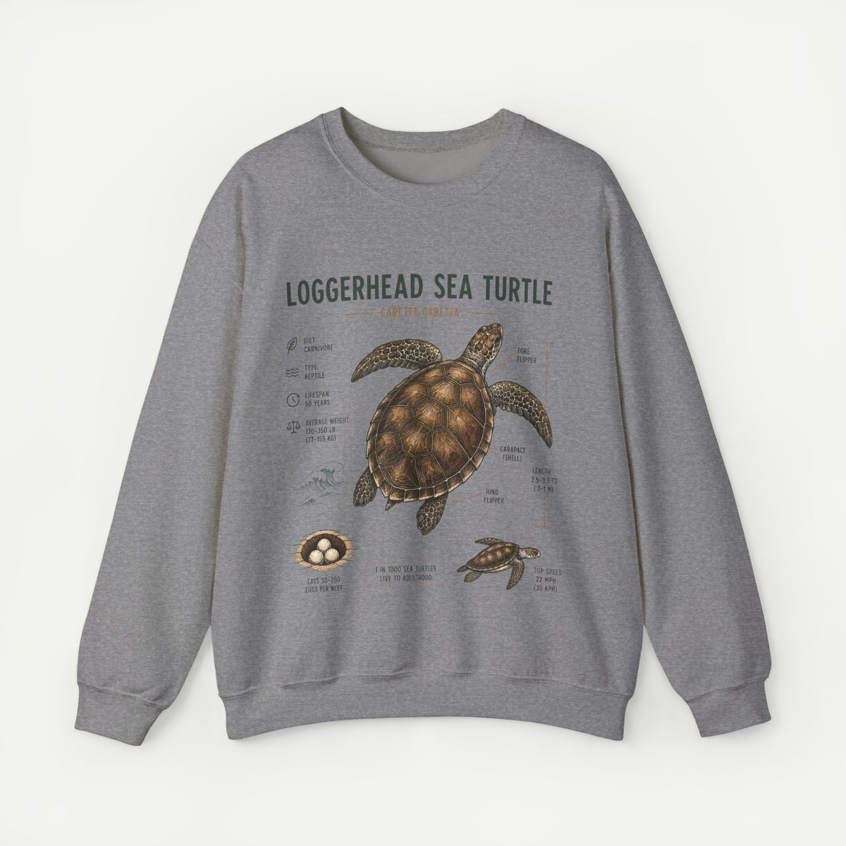 Loggerhead Sea Turtle Anatomy Sweatshirt — Marine Life Educational Crewneck
