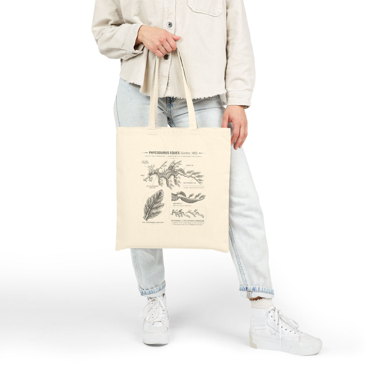 Botanical Anatomy Canvas Tote — Vintage Plant Illustration Eco Tote