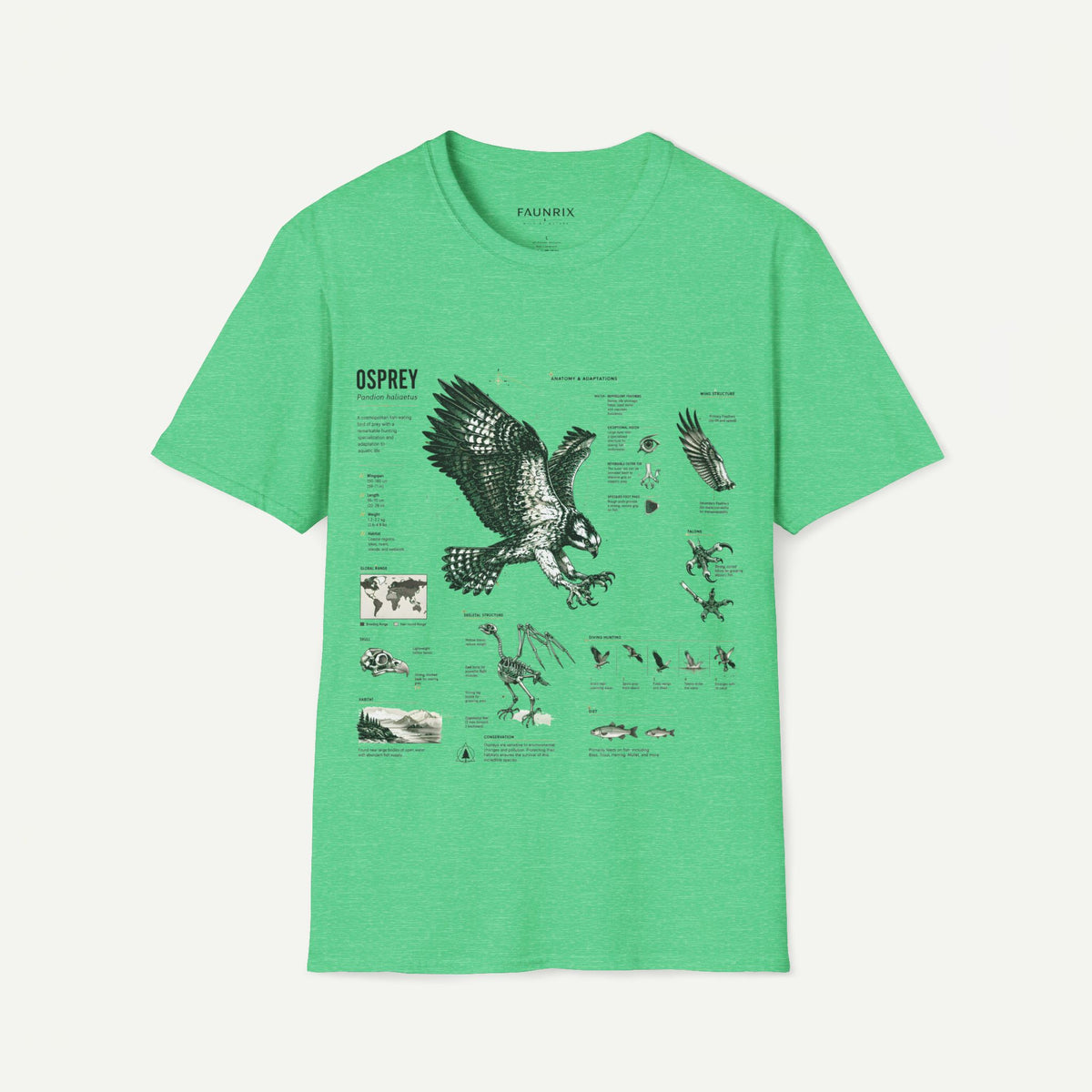 Osprey Anatomy T-Shirt — Vintage Bird Illustration Tee