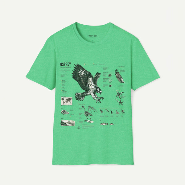 Osprey Anatomy T-Shirt — Vintage Bird Illustration Tee