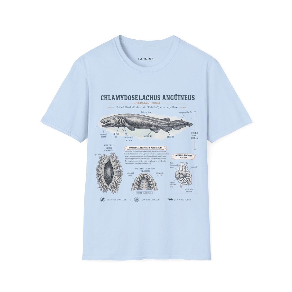 Shark Anatomy Graphic Tee — Chlamydoselachus Anguineus Educational T-Shirt