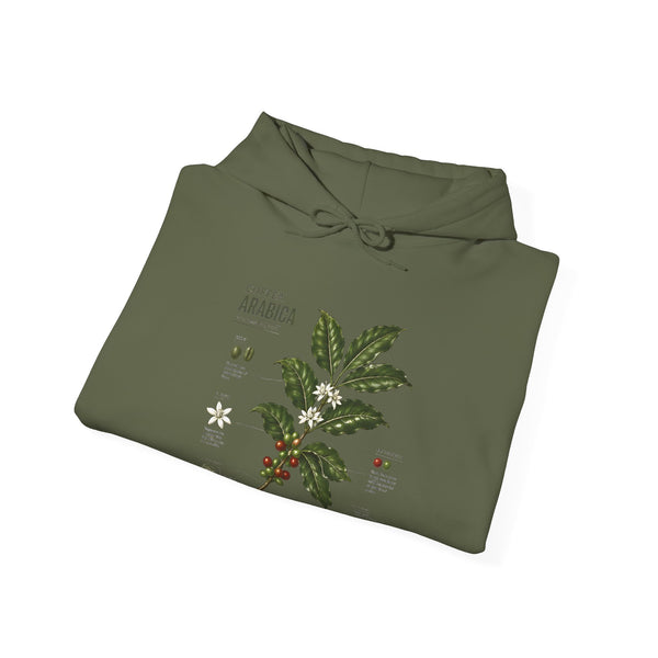 Coffee Plant Hoodie — Coffea Arabica Botanical Illustration Sweatshirt