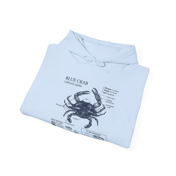 Blue Crab Anatomy Hoodie – Nautical Marine Biology Graphic Sweatshirt