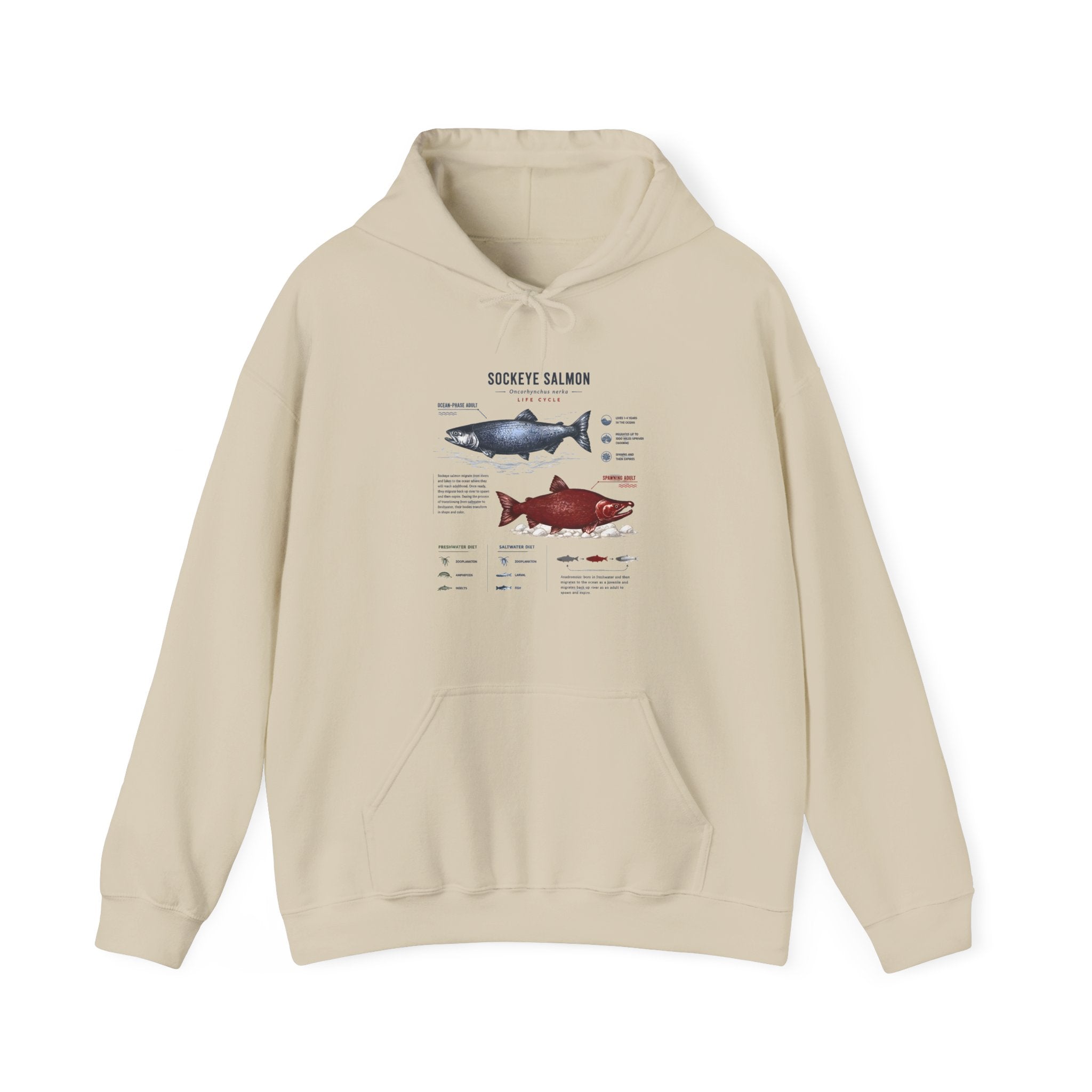 Salmon Species Hoodie — Sockeye & Chinook Fish Identification Graphic Hoodie Secondary image