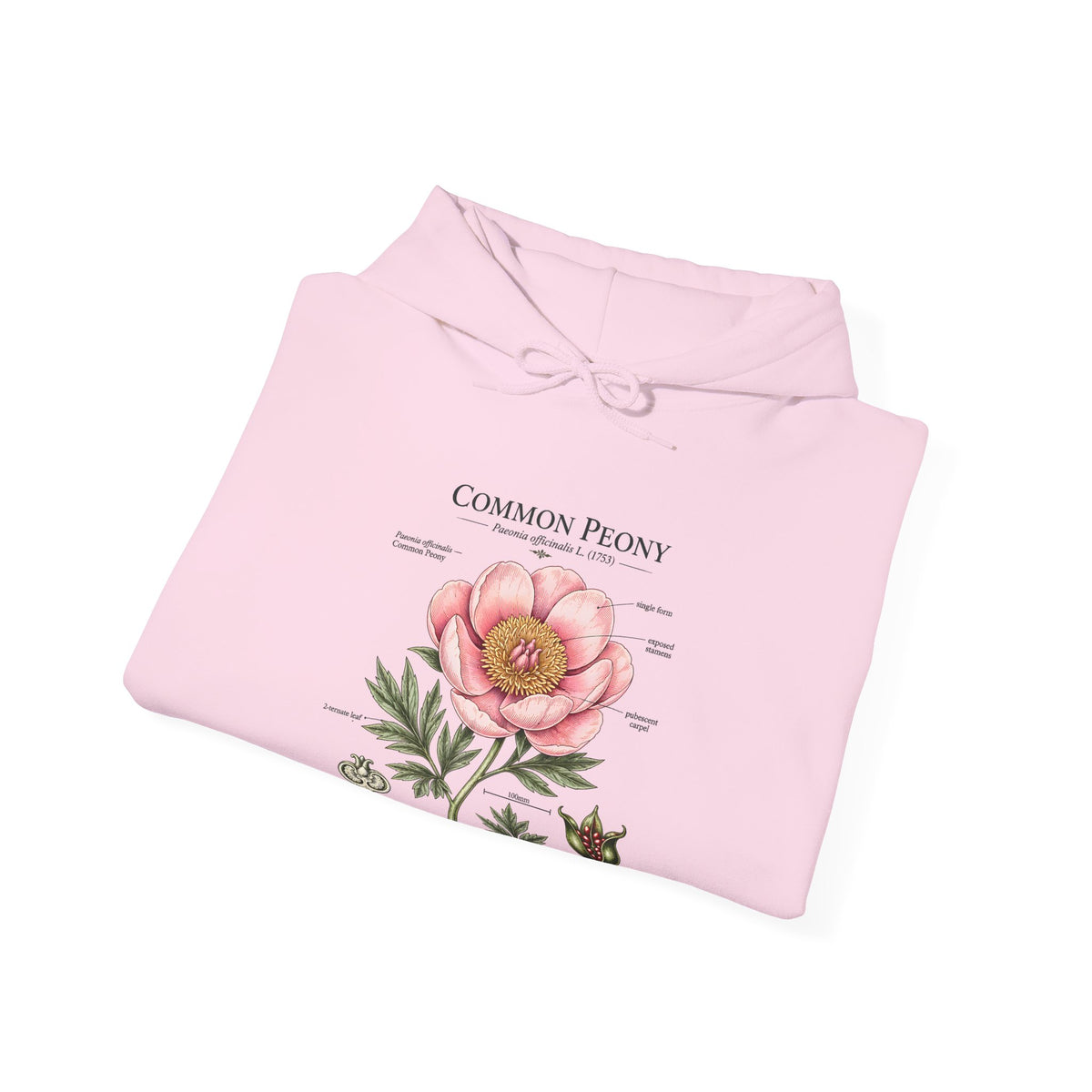 Peony Botanical Hoodie — "Common Peony" Vintage Floral Diagram Sweatshirt