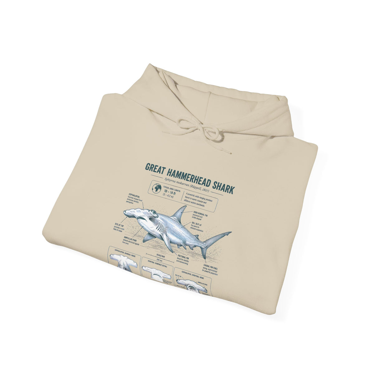 Shark Anatomy Hoodie — Great Hammerhead Shark Diagram Sweatshirt