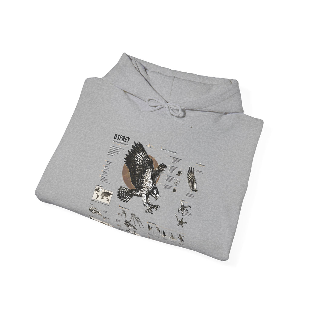 Eagle Anatomy Hoodie — Vintage Ornithology Graphic Sweatshirt