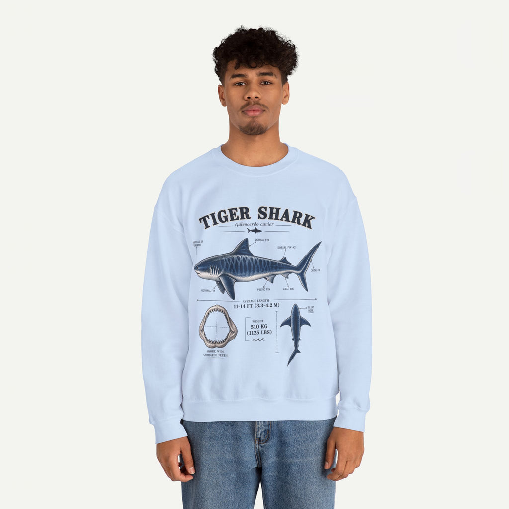 Tiger Shark Anatomy Sweatshirt