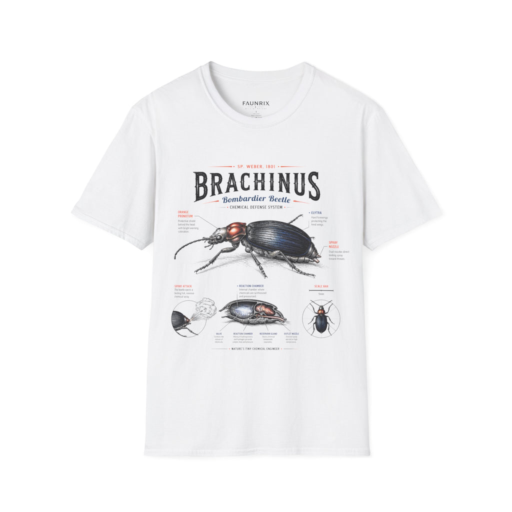 Brachinus Bombardier Beetle Anatomy T-Shirt — Vintage Entomology Graphic Tee
