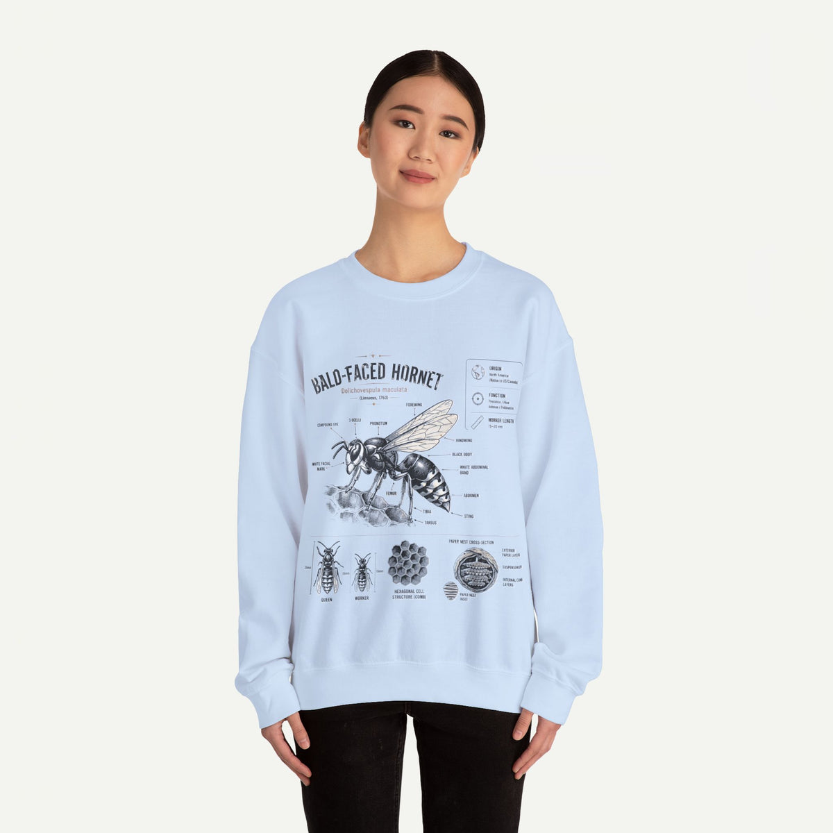 Hornet Anatomy Sweatshirt — Bald-Faced Hornet Diagram Crewneck