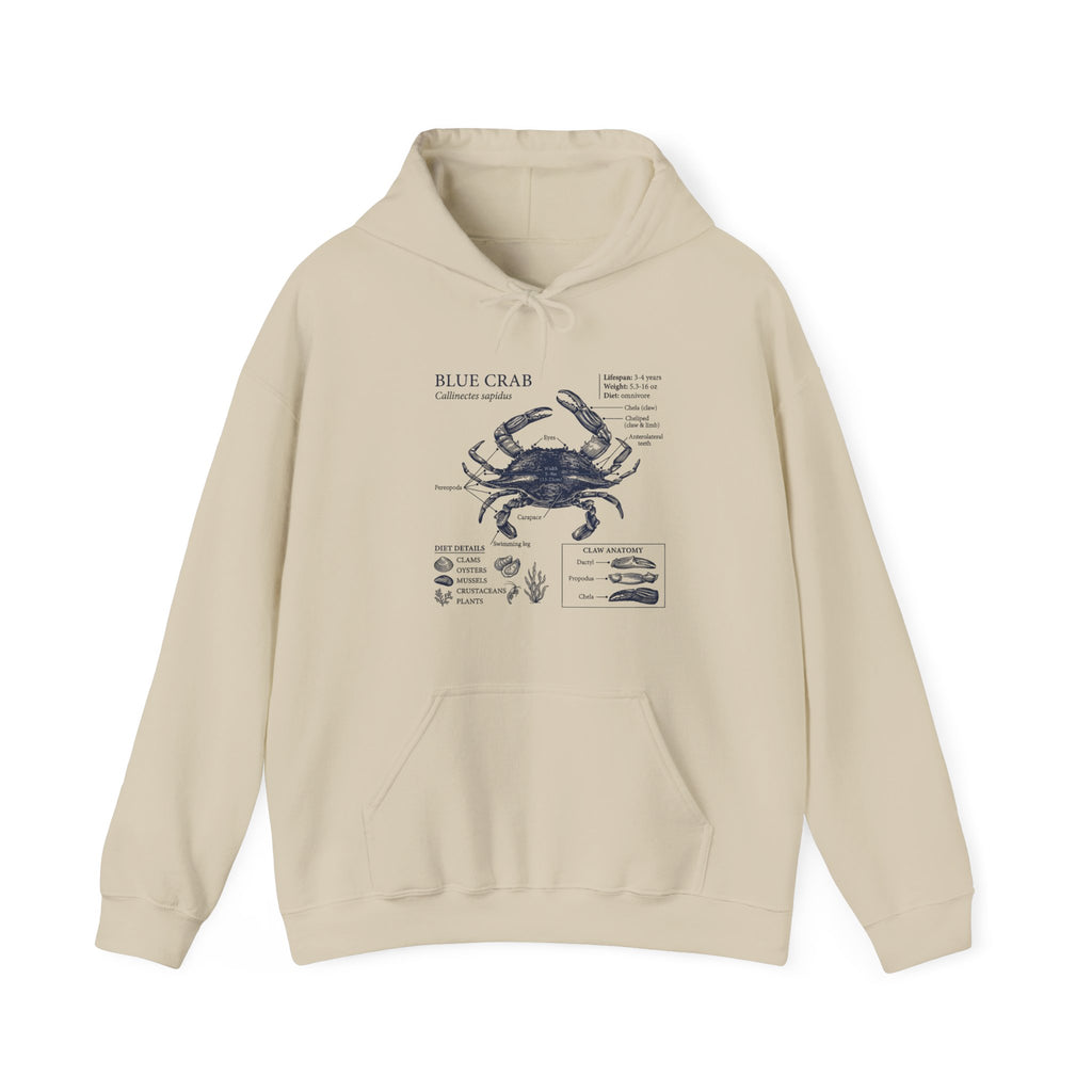 Blue Crab Anatomy Hoodie – Nautical Marine Biology Graphic Sweatshirt