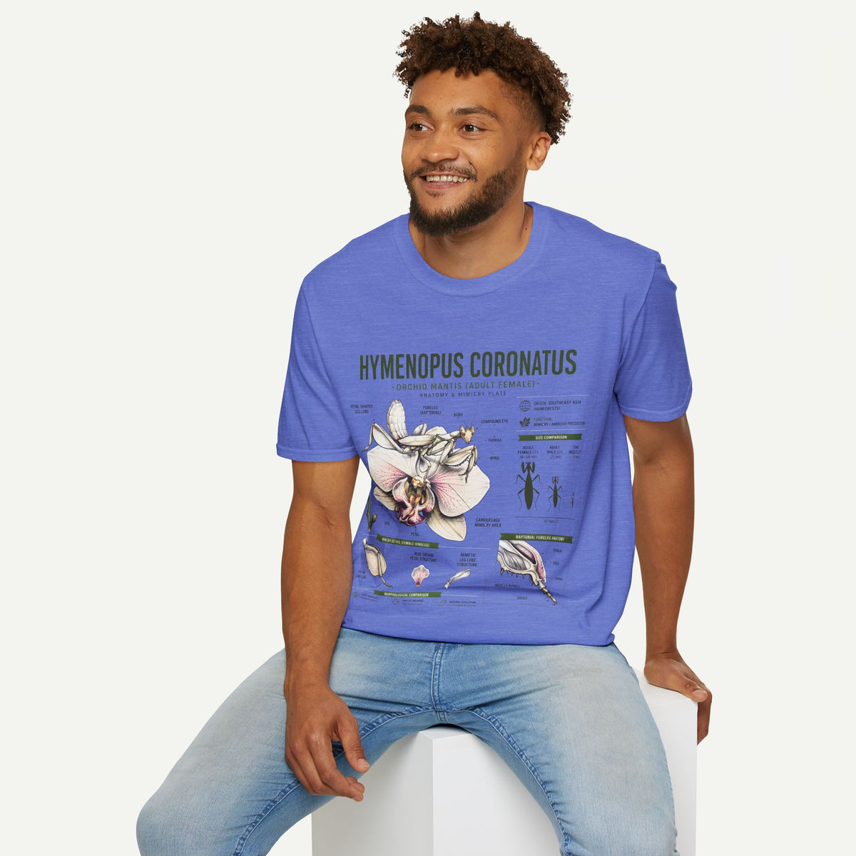 Mantis Anatomy Tee — Hymenopus Coronatus Orchid Mantis Illustration