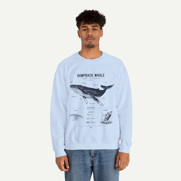 Humpback Whale Anatomy Sweatshirt