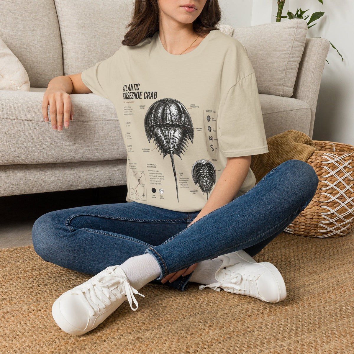 Horseshoe Crab Anatomy T-Shirt — Atlantic Horseshoe Crab Illustration